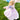 Play Dress-Up | Deluxe Rapunzel