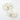 Harlow Clips | Ivory