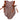Texas Embroidered Bow Bubble