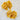 Harlow Clips | Mustard
