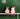 Christmas Countdown Sitter
