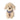 Bentley the Golden Doodle