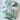 Chenille Blanket | Sage